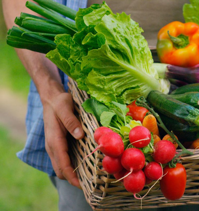 Ce sunt produsele ecologice și cum le alegem
