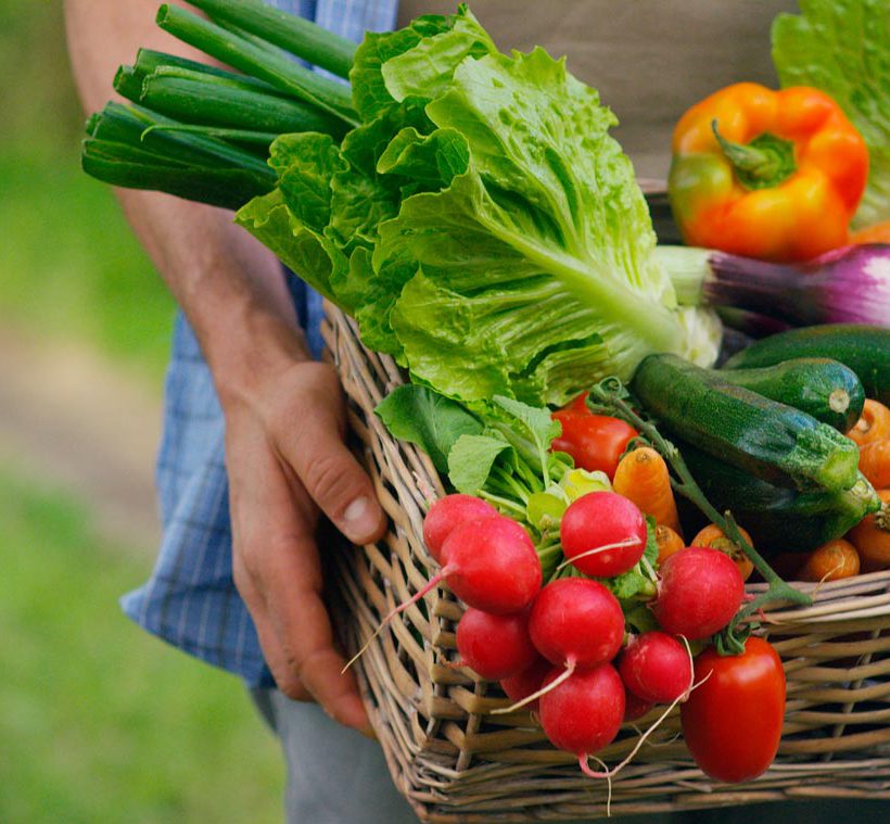 Ce sunt produsele ecologice și cum le alegem