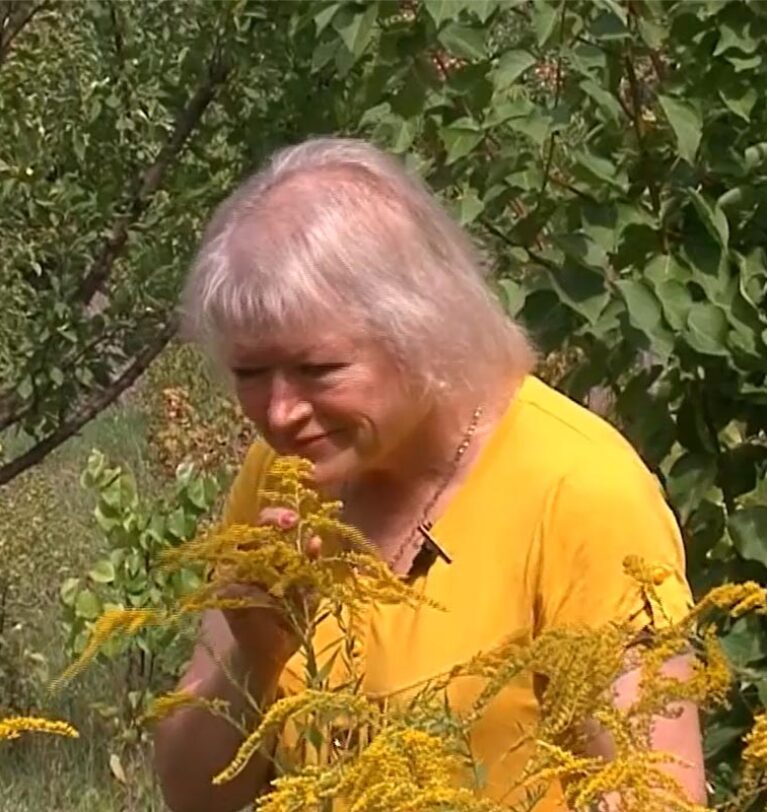 Produce dulcețuri după rețetele bunicilor