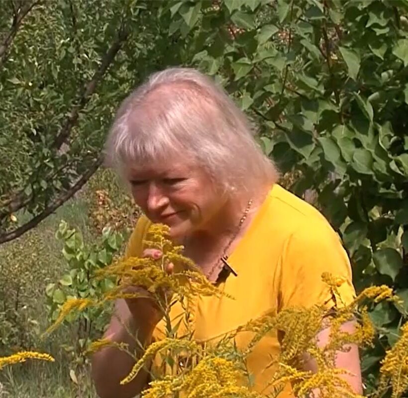 Produce dulcețuri după rețetele bunicilor