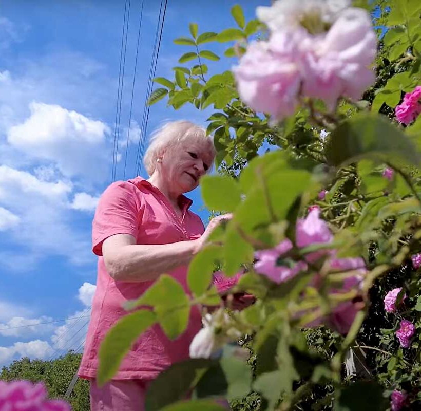 Angela Chicui: „Niciodată nu trebuie să cedezi”